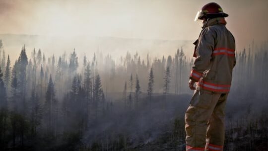 Diferença Entre Extintor De Incêndio CO2 E Pó Químico