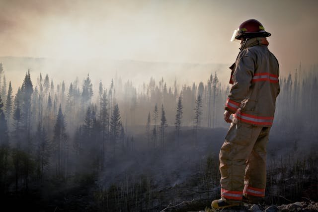 Diferença Entre Extintor De Incêndio CO2 E Pó Químico